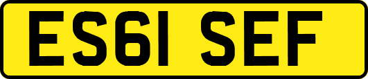 ES61SEF