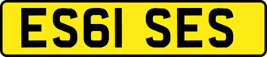 ES61SES