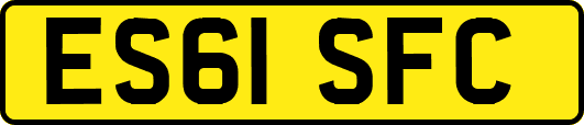 ES61SFC