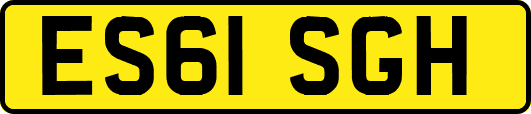 ES61SGH