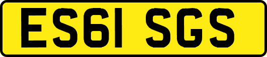 ES61SGS