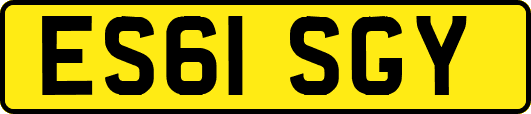 ES61SGY