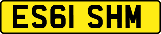 ES61SHM