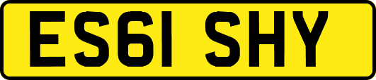ES61SHY