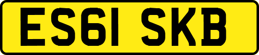 ES61SKB