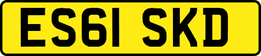 ES61SKD