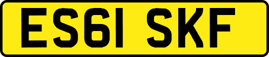 ES61SKF