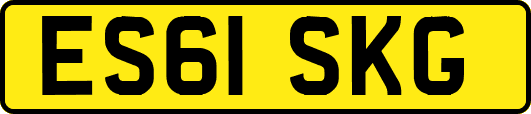 ES61SKG