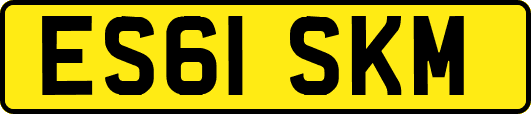 ES61SKM