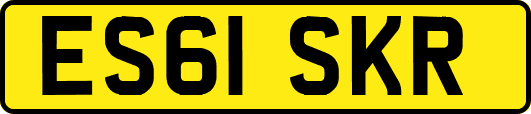 ES61SKR