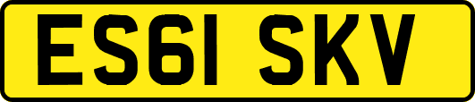 ES61SKV
