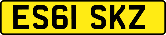 ES61SKZ