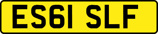 ES61SLF