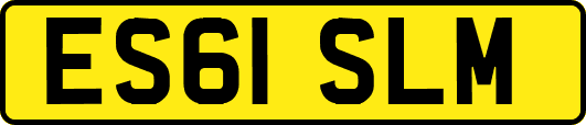 ES61SLM