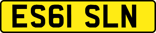 ES61SLN