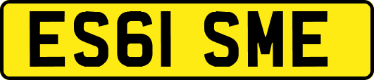 ES61SME