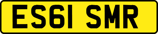 ES61SMR