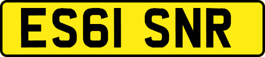ES61SNR