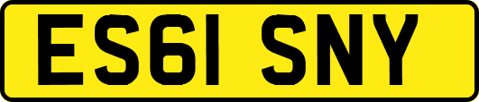ES61SNY