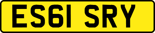 ES61SRY