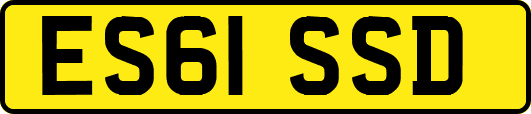 ES61SSD