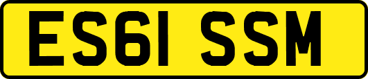 ES61SSM