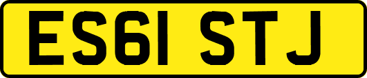 ES61STJ