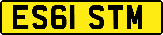 ES61STM