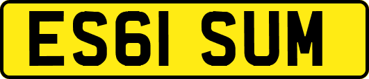 ES61SUM