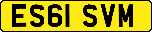 ES61SVM
