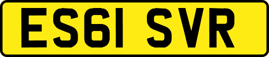 ES61SVR