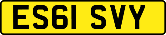 ES61SVY