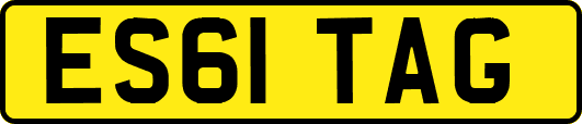 ES61TAG