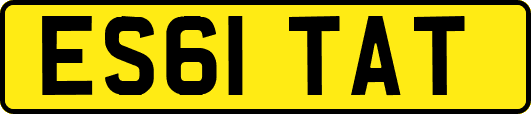 ES61TAT