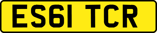 ES61TCR