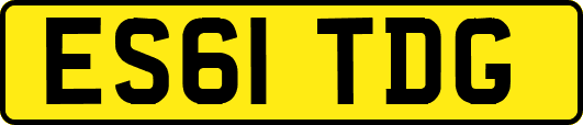 ES61TDG