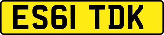 ES61TDK