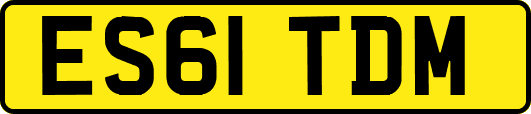 ES61TDM