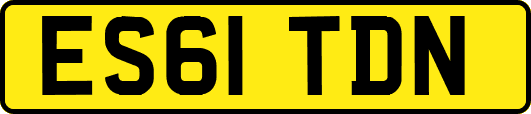 ES61TDN