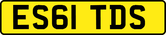 ES61TDS
