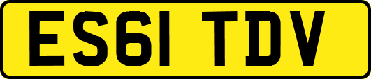 ES61TDV