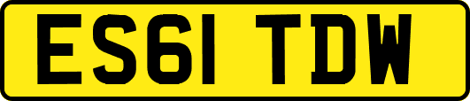 ES61TDW