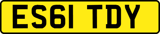 ES61TDY