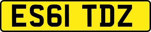 ES61TDZ