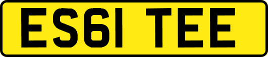 ES61TEE