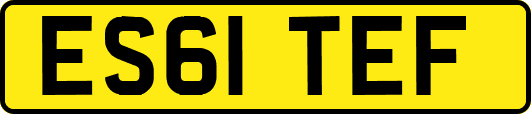 ES61TEF