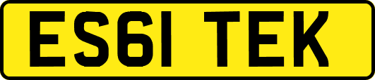 ES61TEK