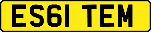 ES61TEM