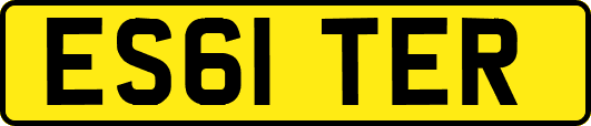 ES61TER