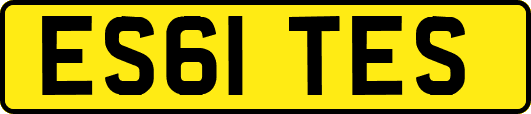 ES61TES
